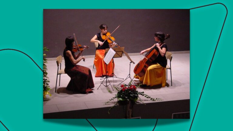 Quartet corda petroli